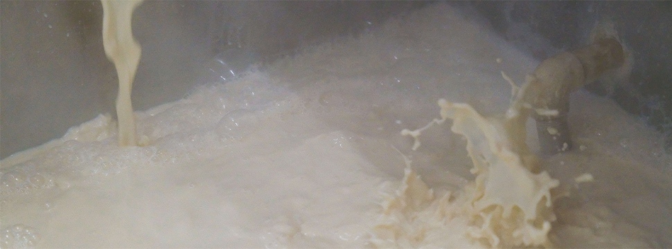 豆すりの画像
